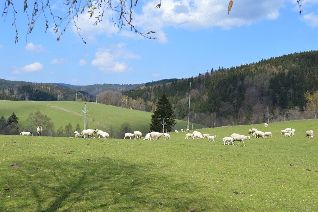 Chata Nova Seninka Stare Mesto  Exterior photo
